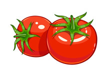 Pair Red Ripe Tomato Vector Illustration Eps10
