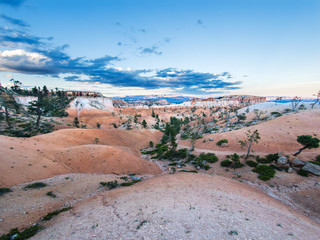 Wall Mural - bryce canyon
