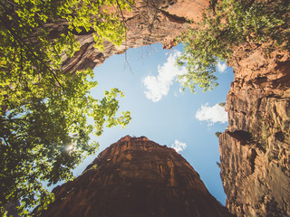 Wall Mural - zion national park, utah, usa