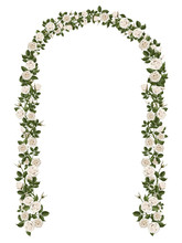 Arch Of White Climbing Roses. Floral Design. Wedding Decoration. Vector Illustration, Detailed, Isolated On White Background.