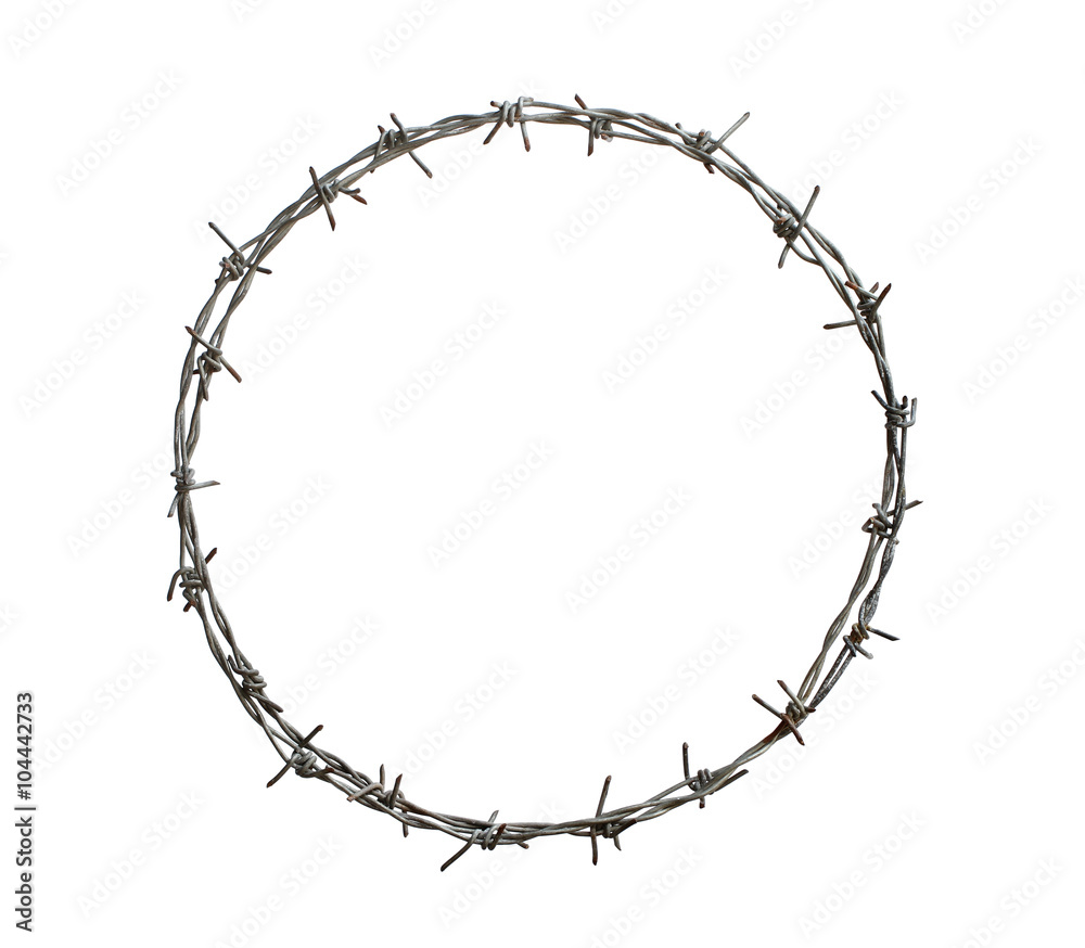 Barbed wire circle isolated on white background - obrazy, fototapety, plakaty 
