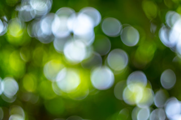 Wall Mural - bokeh background