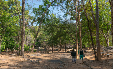 Wall Mural - tourists admiring the beautiful forest trees in thailand