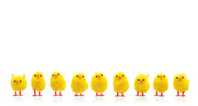 Abundance Of Easter Chicks On A Row