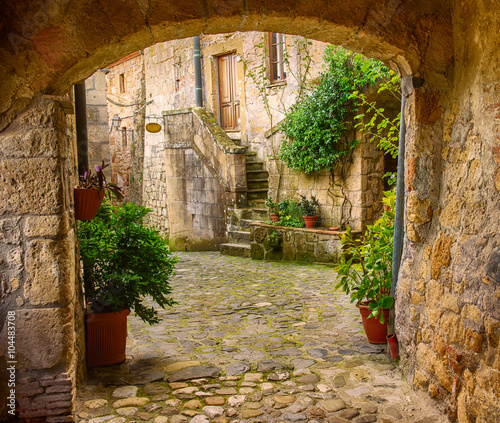 Fototapeta na wymiar Narrow street of medieval tuff city Sorano with arch, green plants and cobblestone, travel Italy background