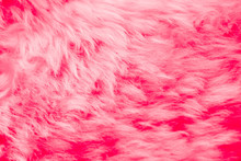 Natural Pink Fur Background