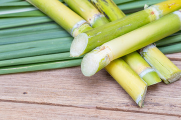 Fresh sugarcane