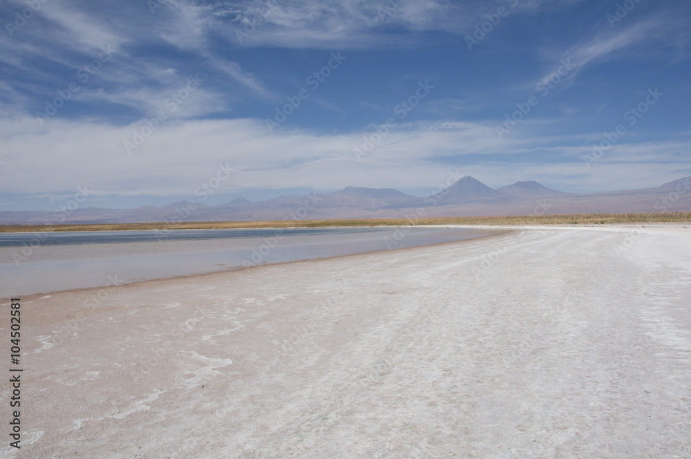 Laguna de agua salada y salar en el desierto de Atacama. Chile Stock ...