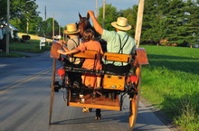 Lancaster County, Pennsylvania:  An Amish Family Riding Along A Country Road In Their Open Horse And Buggy Carriage *