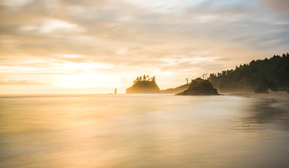 Wall Mural - scenic view of sea stack in Second beach when sunset,in mt Olympic National park,Washington,usa.