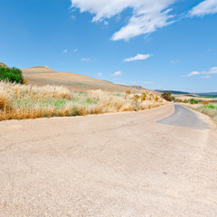 Canvas Print - Road between Fields