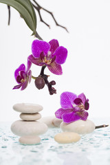 Poster - White spa stones and oriental flower