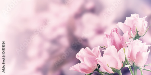 Tapeta ścienna na wymiar Vintage Postcard with Rose Flowers