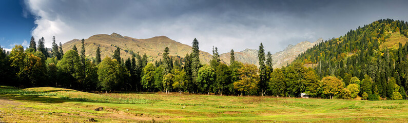 panorama landscape with a meadow and forest in the mountains, in Abkhazia in the Caucasus.