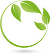 © Waldemar Hölzer - Pflanze, Blätter Logo, Bio, Heilpraktiker