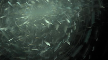 Wall Mural - fractal flames screen saver