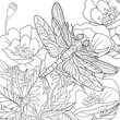 Zentangle stylized cartoon dragonfly insect is flying around poppy flowers. Sketch for adult antistress coloring page. Hand drawn doodle, zentangle, floral design elements for coloring book.