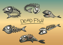 Dead Fish Leftovers And Bones Vector Illustration