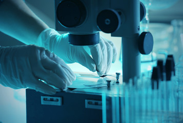 Wall Mural - scientist working with microscope closeup