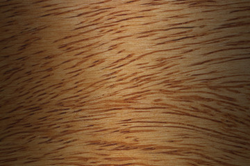 Poster - Design on wood with shadow for pattern
