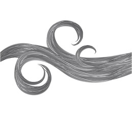 Wall Mural - hair background healthy grey shiny locks of hair