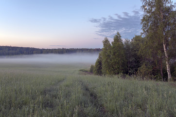  Road in the meadow