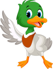Wall Mural - cute baby duck waving its wings