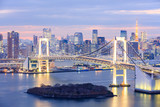 Fototapeta  - Tokyo skyline with Tokyo tower and rainbow bridge