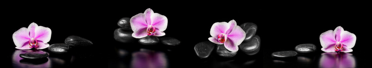 Horizontal panorama with pink orchids and zen stones on black ba