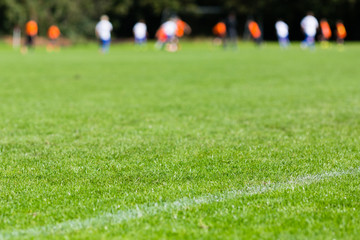 Wall Mural - Young soccer players on soccer field