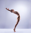 © Acronym - Athletic ballet dancer performing in a studio