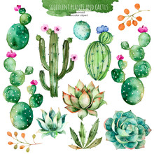 Set Of High Quality Hand Painted Watercolor Elements For Your Design With Succulent Plants,cactus And More.Perfect For Your Project,wedding,greeting Card,photos,blogs,wreaths,pattern And More