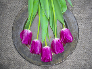 Wall Mural - Purple tulips arranged on a copper tray