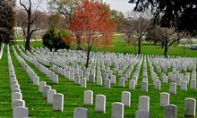 Arlington, Virginia:  Row Upon Row Of Military Gravesites At Arlington National Cemetery *