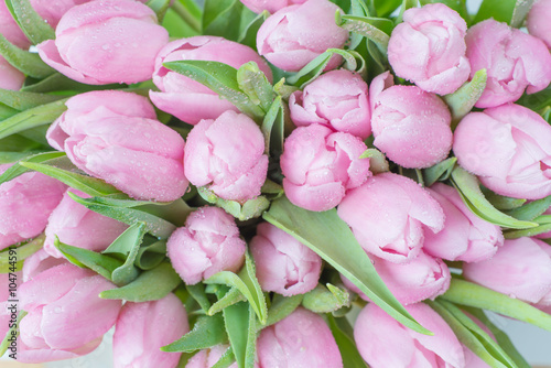 Naklejka nad blat kuchenny Pink tulips flowers