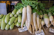 Daikon or Asian white radish on organic market