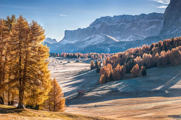 Wall Mural - mountan in alpe de siusi