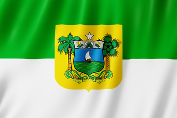 Wall Mural - Flag of Rio Grande do Norte state in Brazil