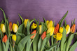 Wiosenny bukiet kwiatów z żółtych i czerwonych tulipanów oraz żonkili  w na fioletowym tle