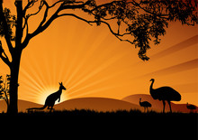 Emu Kangaroo Sunset