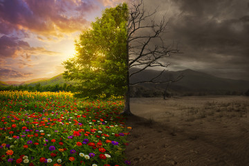 life and death