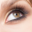 © Serg Zastavkin - Woman eye