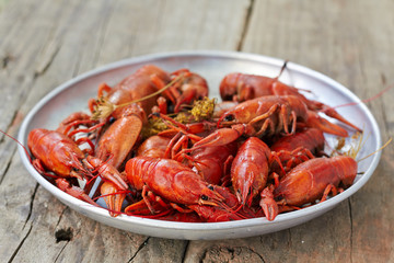 Wall Mural - Cooked crayfish on a plate on a wooden background