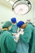 © nimon_t - group of veterinarian surgery in operation room