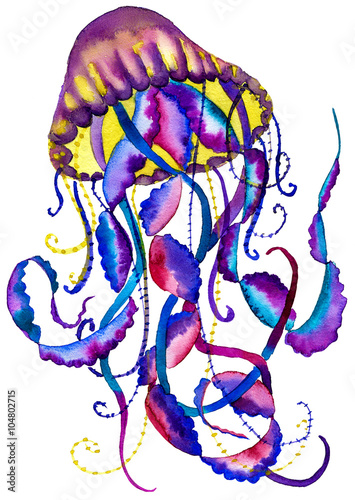 Abstract Watercolor Painting Jellyfish Colored Medusa Illustration Isolated On White Background Element Tattoo Design Buy This Stock Illustration And Explore Similar Illustrations At Adobe Stock Adobe Stock