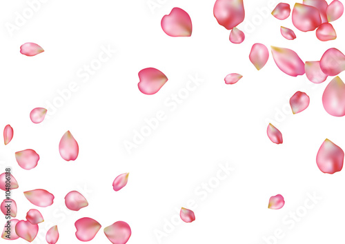 Fotografía Abstract background with flying pink rose petals.