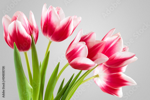 Naklejka - mata magnetyczna na lodówkę Bouquet of pink tulips.