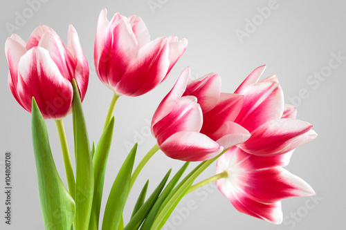 Naklejka dekoracyjna Bouquet of pink tulips.