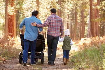 Wall Mural - Gay Male Couple Pushing Children In Buggy Through Woods