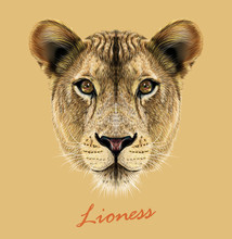 Lioness Animal Cute Face. Vector African Wild Lion Cat Head Portrait. Realistic Fur Portrait Of Lioness Isolated On Beige Background.